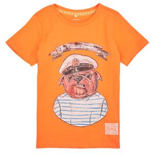 Name it T-shirt Korte Mouw  NKMTOLE SS TOP PS