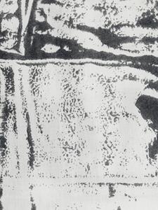 Alexander McQueen Sjaal met abstracte print en logostreep - Wit