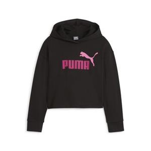 Puma  Kinder-Sweatshirt ESS 2COLOR HOODIE