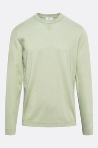 Woolrich Men logo crewneck sage