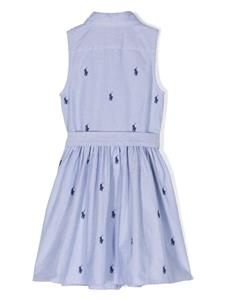 Ralph Lauren Kids Polo Pony-embroidered sleeveless dress - Blauw