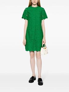 Erdem Mini-jurk met bloemenkant - Groen