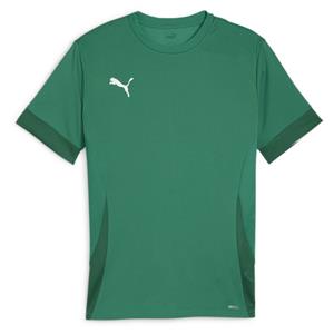 PUMA Trainingsshirt teamGOAL - Groen/Zwart