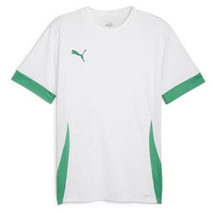 PUMA teamGOAL Matchday Trikot Herren 15 - PUMA white/sport green/sport green