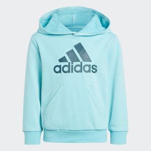 Adidas Sportswear Sweatshirt LK BL FT HD