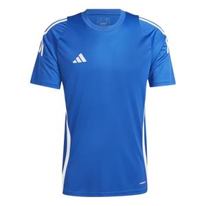 Adidas performance adidas Tiro24 Fußballtrikot Herren AD8R - royblu/white