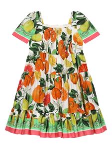 Dolce & Gabbana Kids Katoenen jurk met print - Oranje