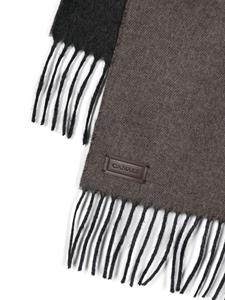 Canali logo-appliqué cashmere-blend scarf - Bruin