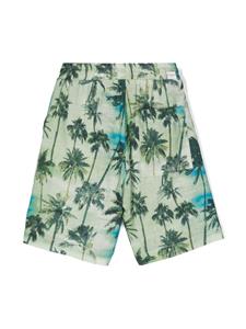 Paolo Pecora Kids Straight shorts met palmboomprint - Groen