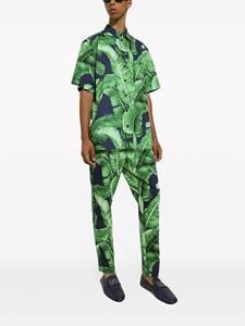 Dolce & Gabbana Broek met print - Groen