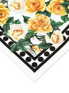 Dolce & Gabbana rose-print silk scarf - Wit