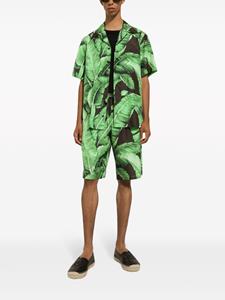 Dolce & Gabbana Bermuda shorts met print - Groen