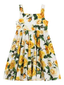 Dolce & Gabbana Kids Katoenen jurk met roosprint - Wit