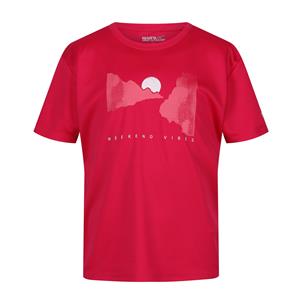 Regatta Kinderen/kinderen alvarado vii zon t-shirt