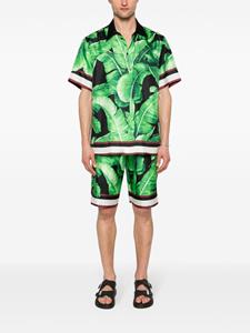 Dolce & Gabbana Zijden shorts met bladerprint - Groen