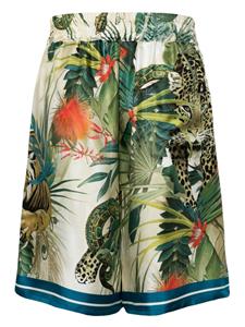 Roberto Cavalli Jungle-print silk shorts - Veelkleurig