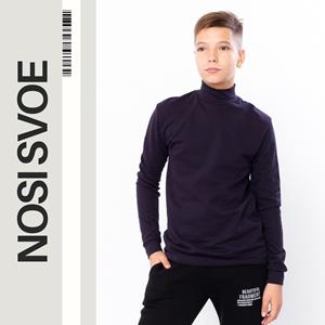 НС Long Sleeves (boys), Demi-season, Nosi svoe 6236-023