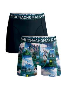 Muchachomalo Jongens 2-pack boxershorts elebudha virtualreality