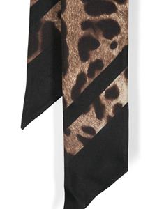 Dolce & Gabbana Sjaal met luipaardprint - Zwart
