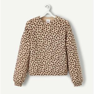 TAPE A L'OEIL Trui in tricot in luipaardprint
