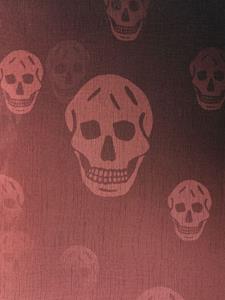 Alexander McQueen skull-print ombré scarf - Roze