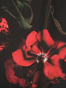 Alexander McQueen rose-print silk scarf - Rood