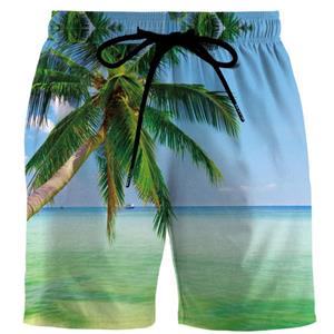 HerSight Herenshorts Zomer 3D-geprint Casual gewone jeugd Strand korte broek Lente Kleine stretch korte broek