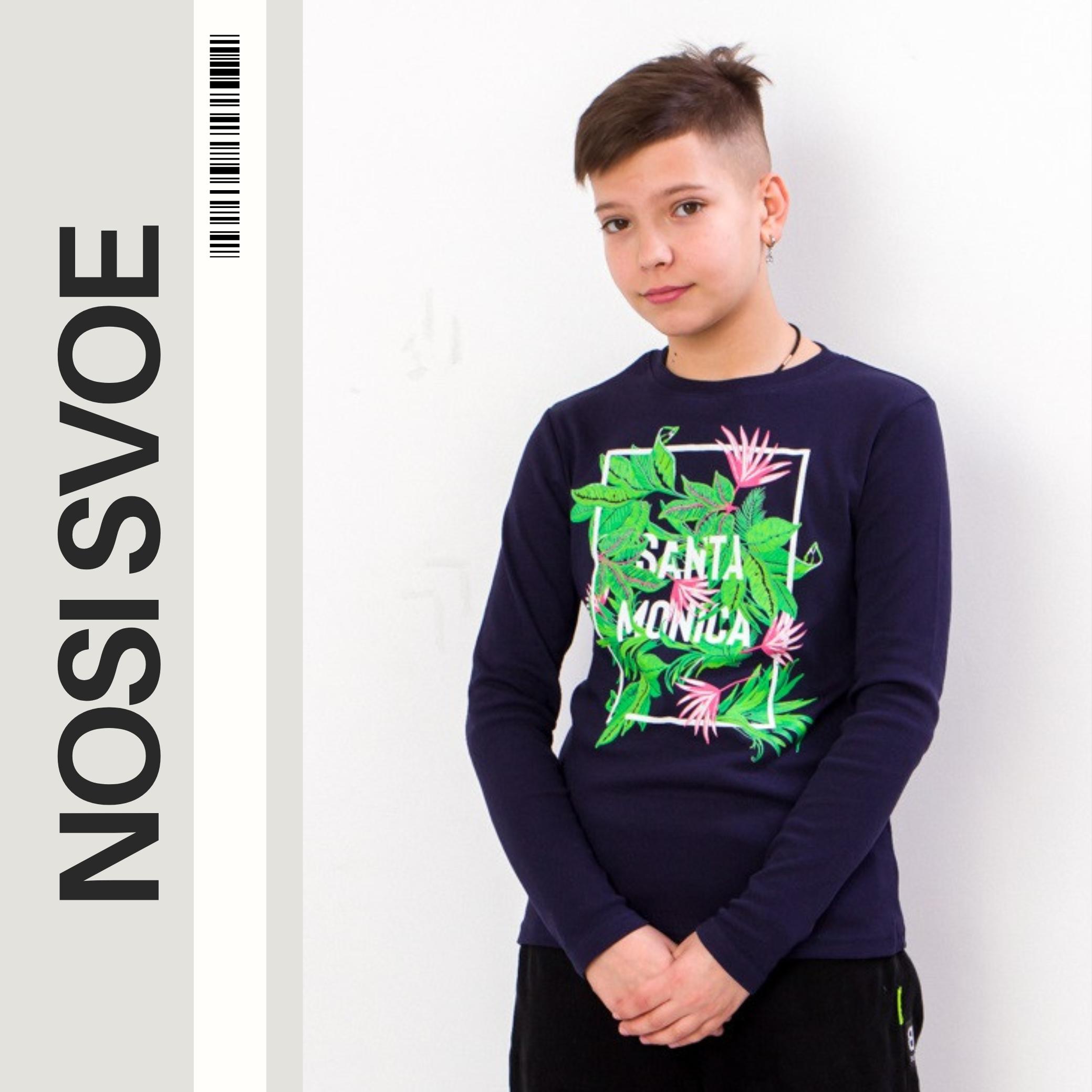 НС Sweatshirt (boys) , Any season , Nosi svoe 6025-015-33-1