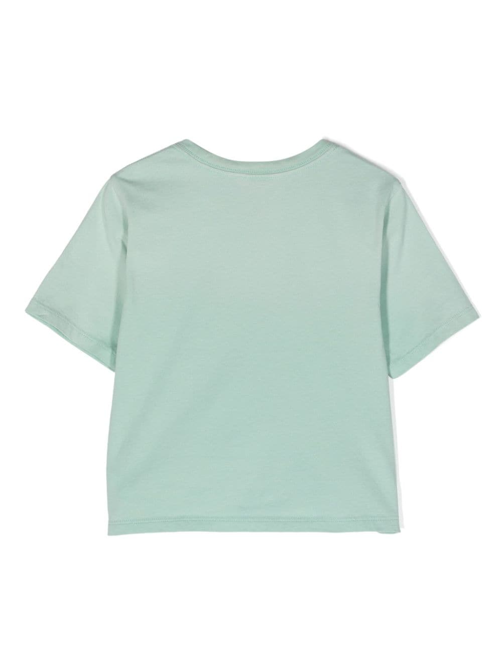 Ralph Lauren Kids Katoenen T-shirt - Groen