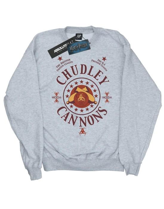 Harry Potter jongens Chudley kanonnen logo sweatshirt