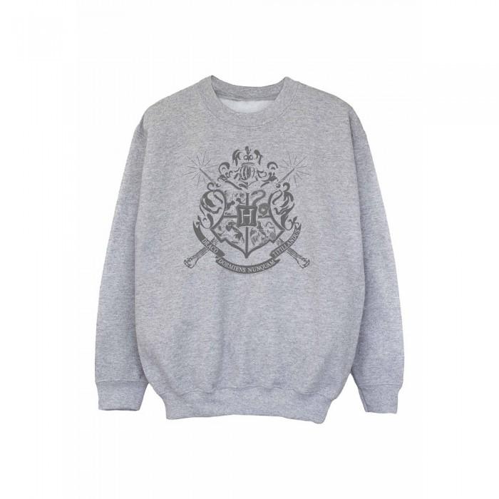 Harry Potter jongens Wands Zweinstein Crest Sweatshirt