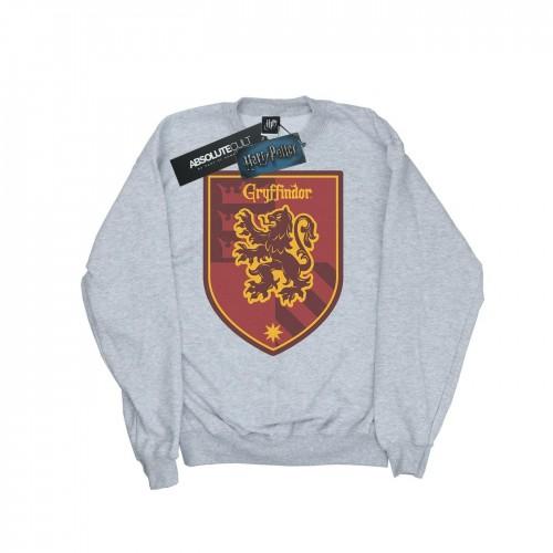 Harry Potter jongens Gryffindor Crest plat sweatshirt
