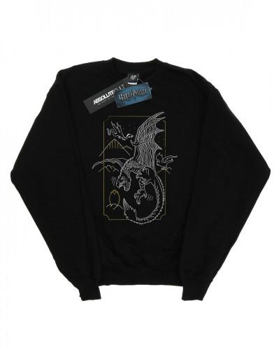 Harry Potter jongens Dragon Line Art Sweatshirt