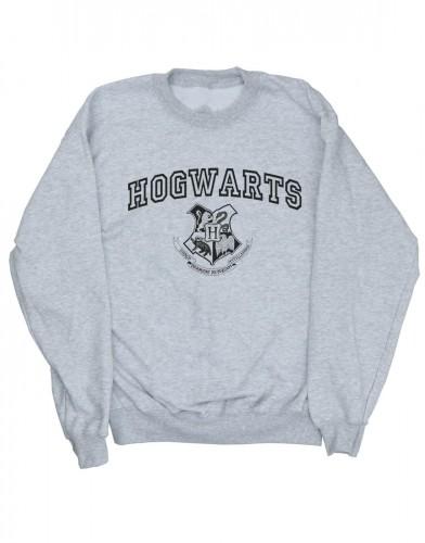 Harry Potter jongens Zweinstein Crest Sweatshirt