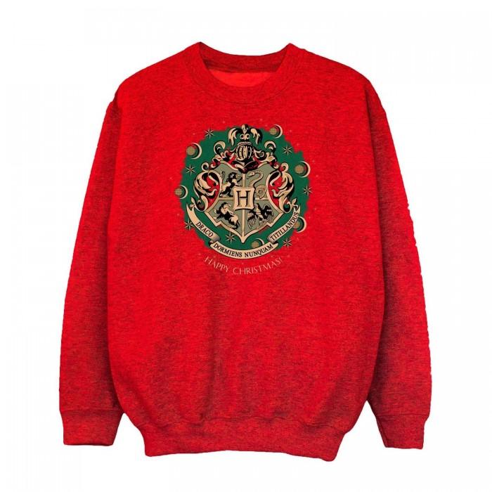 Harry Potter jongens krans kerstsweater
