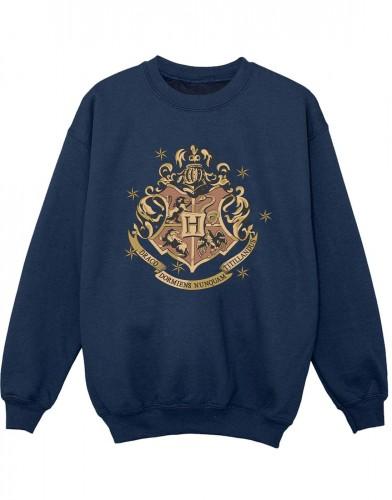 Harry Potter jongens gouden Zweinstein Crest Sweatshirt