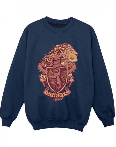 Harry Potter jongens Gryffindor Sketch Crest Sweatshirt