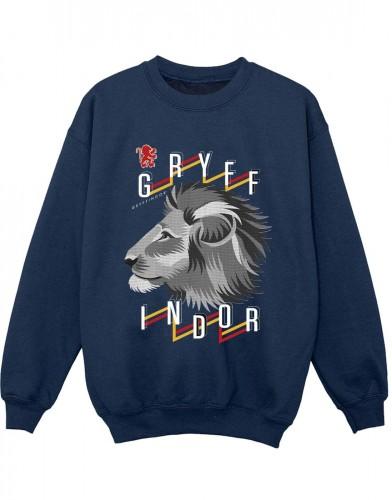 Harry Potter jongens Gryffindor Lion Icon Sweatshirt