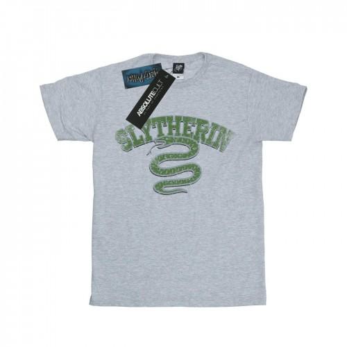 Harry Potter Boys Slytherin Sport Emblem T-Shirt