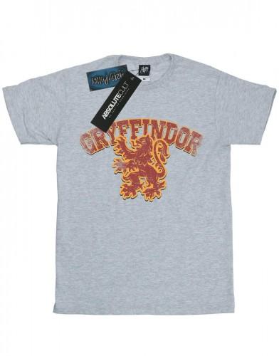Harry Potter jongens Gryffindor Sport embleem T-shirt