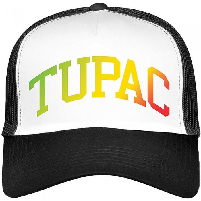 Pertemba FR - Apparel Tupac Shakur Unisex volwassen gradiënt mesh logo baseballpet