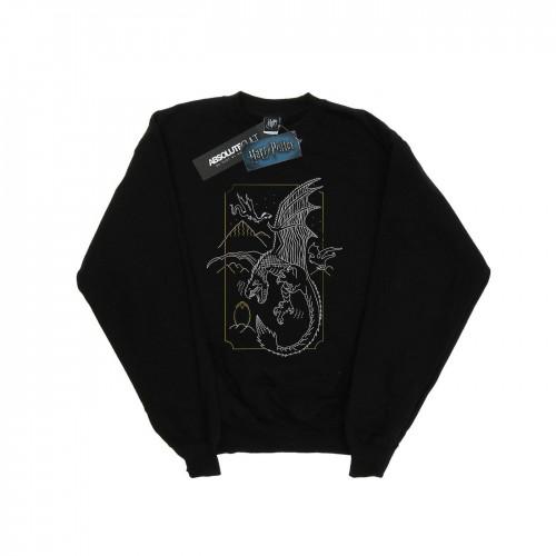 Harry Potter meisjes Dragon Line Art Sweatshirt