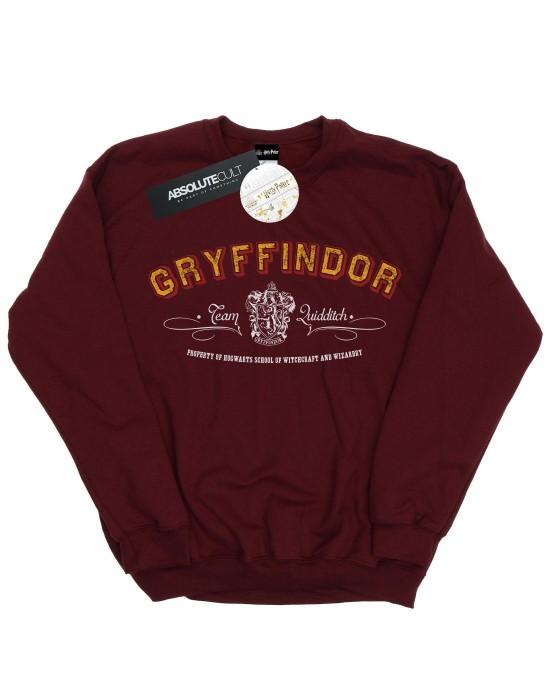 Harry Potter heren Gryffindor Team Zwerkbal katoenen sweatshirt