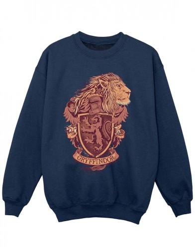 Harry Potter Girls Griffoendor Sketch Crest Sweatshirt