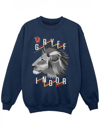Harry Potter Girls Gryffindor Lion Icon-sweatshirt