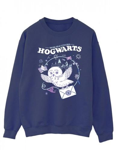 Harry Potter heren uil brief van Zweinstein katoenen sweatshirt