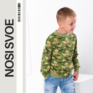 НС Sweatshirt (boys) , Any season , Nosi svoe 6069-055-4