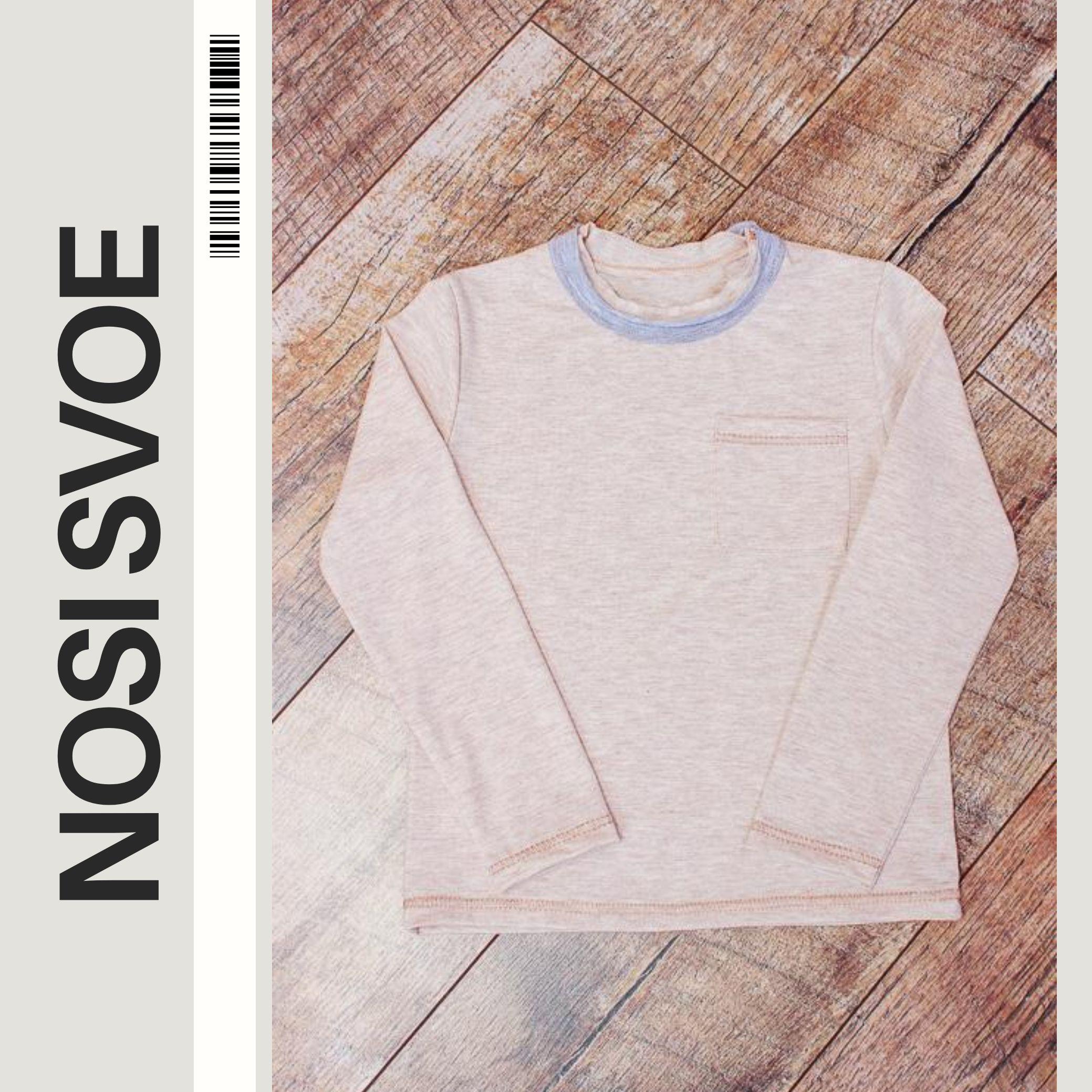 НС Sweatshirt (boys) , Any season , Nosi svoe 6221-090