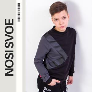 НС Sweatshirt (boys) , Any season , Nosi svoe 6271-057