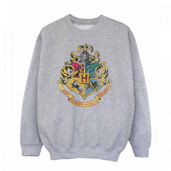 Harry Potter Jongens Hogwarts Crest Sweatshirt